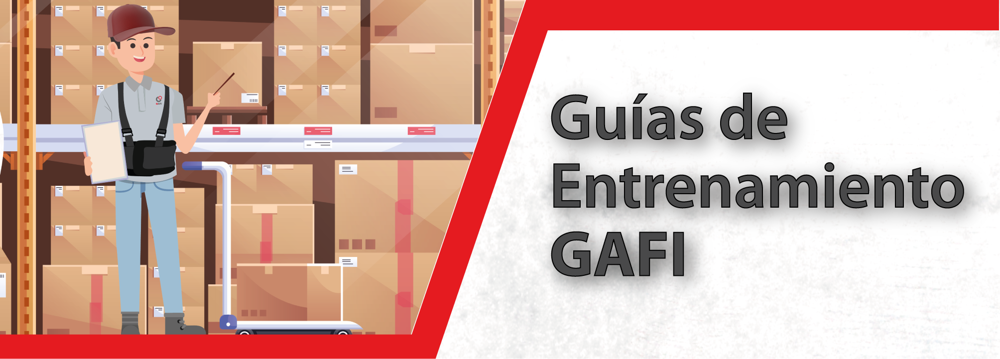 Guías de Entrenamiento GAFI GAFI-ENT18
